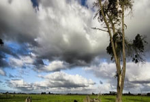 荷兰主帅科曼：德容即将复出 德派不够健康落选.