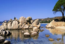 九游娱乐官网：亚冬会丨冰壶混双中国队摘铜 收获中国体育代表团首枚奖牌2025-02-08.